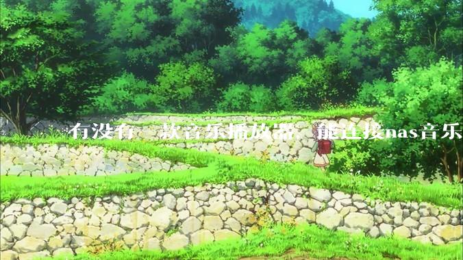 有没有一款音乐播放器，能连接nas音乐，创建音乐库，自动匹配歌词封面等等？类似infuse的概念呢？