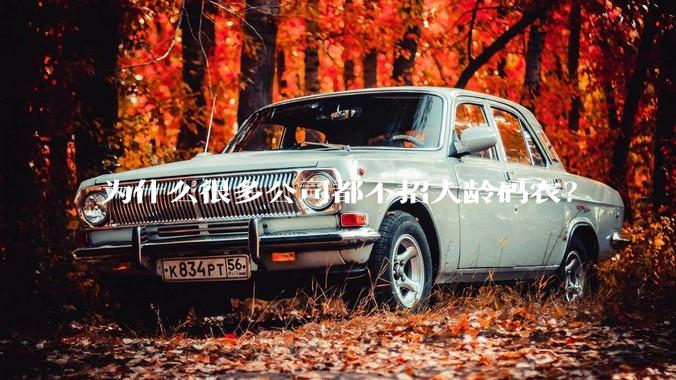 为什么很多公司都不招大龄码农？