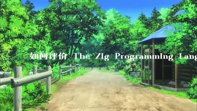 如何评价 The Zig Programming Language？