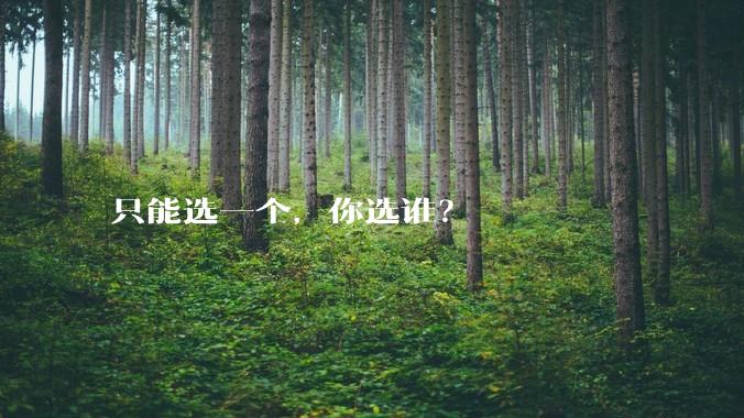 只能选一个，你选谁？