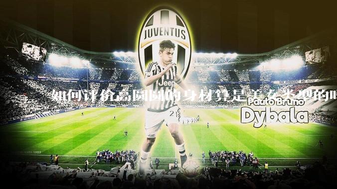 如何评价高圆圆的身材算是美女类型的吗？